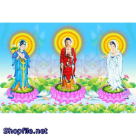 Hình Phật Tây Phương Tam Thánh Chất Lượng Cao